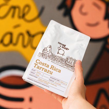 coffee sheep kava costa rica tarrazu 250g v ruke